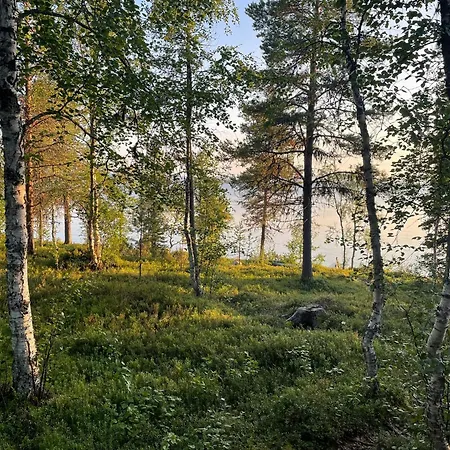 Lapland Dream