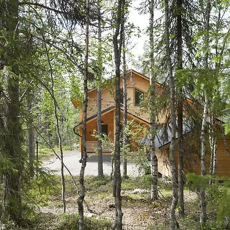 Lapland Dream *