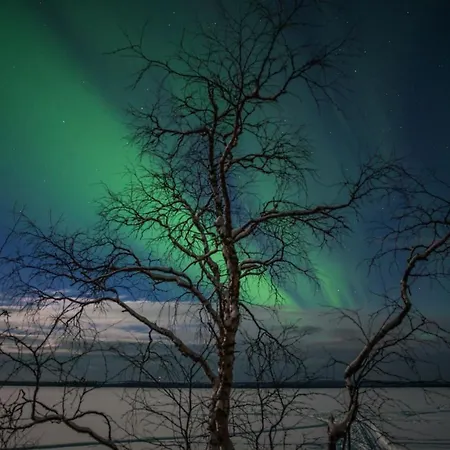 Lapland Dream Βίλα Rauhala