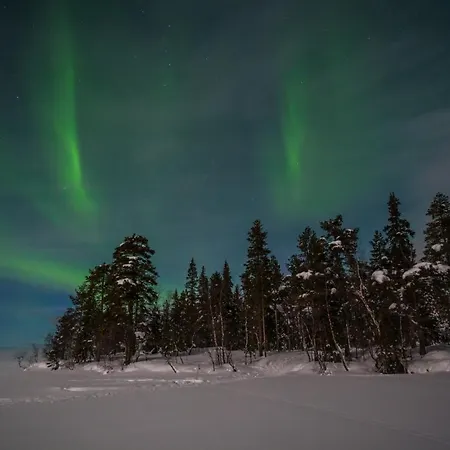 Lapland Dream