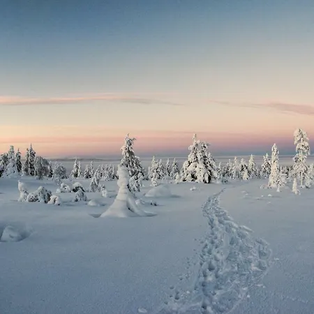 Villa Lapland Dream Rauhala
