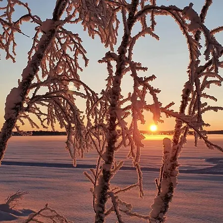Lapland Dream