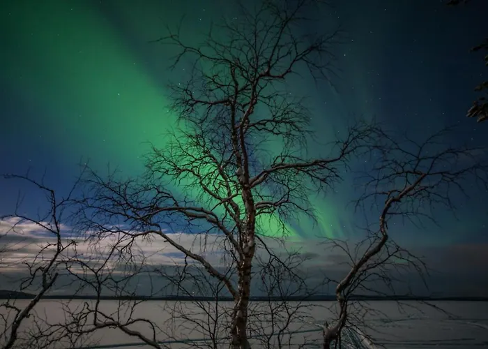 Lapland Dream Βίλα Rauhala