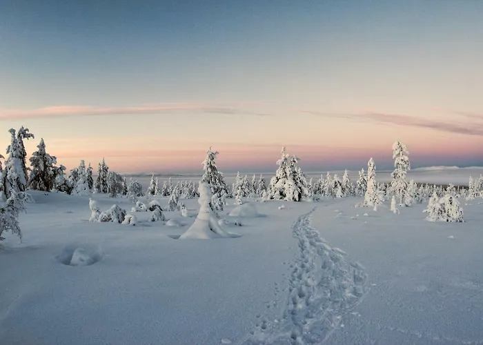 Βίλα Lapland Dream Rauhala